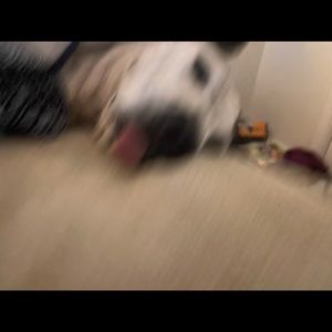 Meet your Posher, Ian